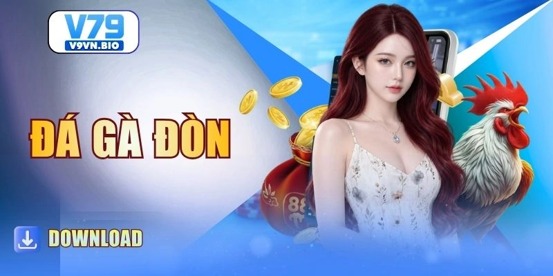 Đá Gà Đòn - Hình Thức Cược Đáng Trải Nghiệm Tại V79