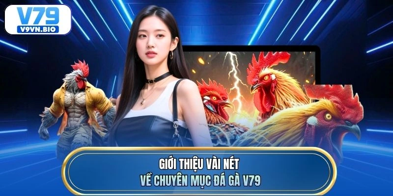 Giới thiệu vài nét về chuyên mục đá gà V79