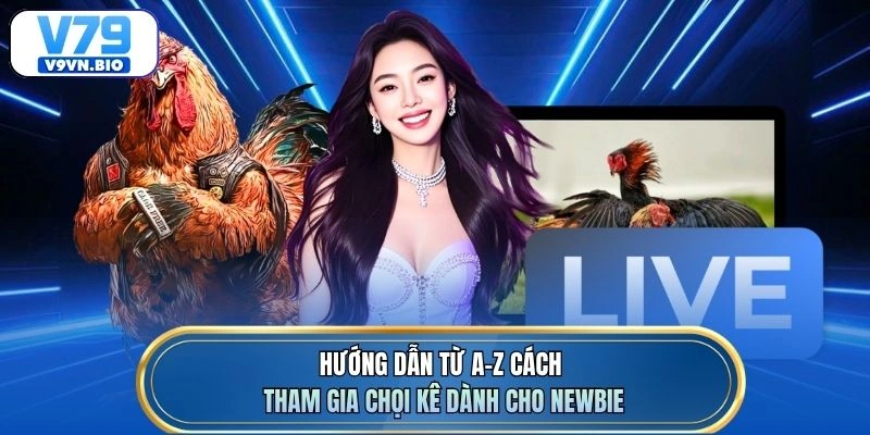 Hướng dẫn từ A-Z cách tham gia chọi kê dành cho newbie
