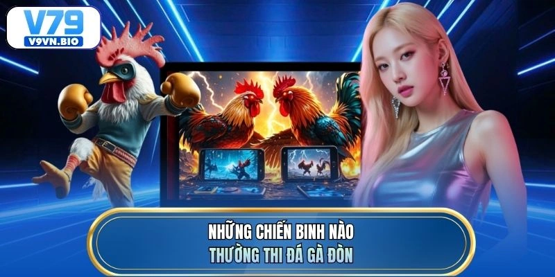 Những chiến binh nào thường thi đá gà đòn