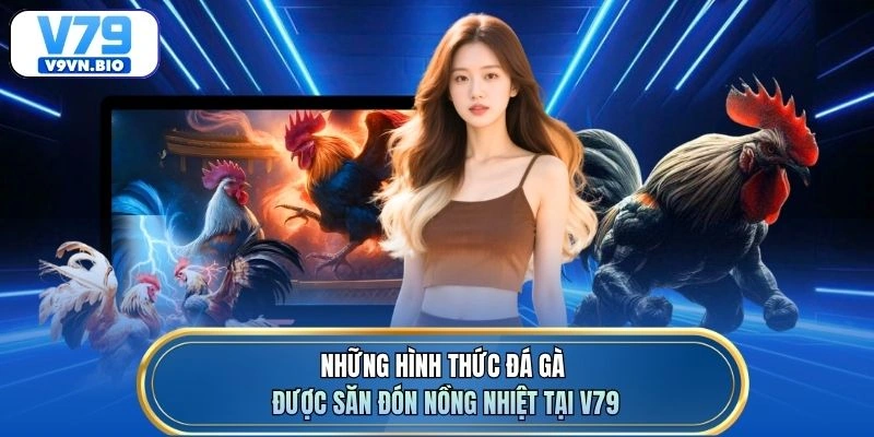 Những hình thức đá gà được săn đón nồng nhiệt tại V79